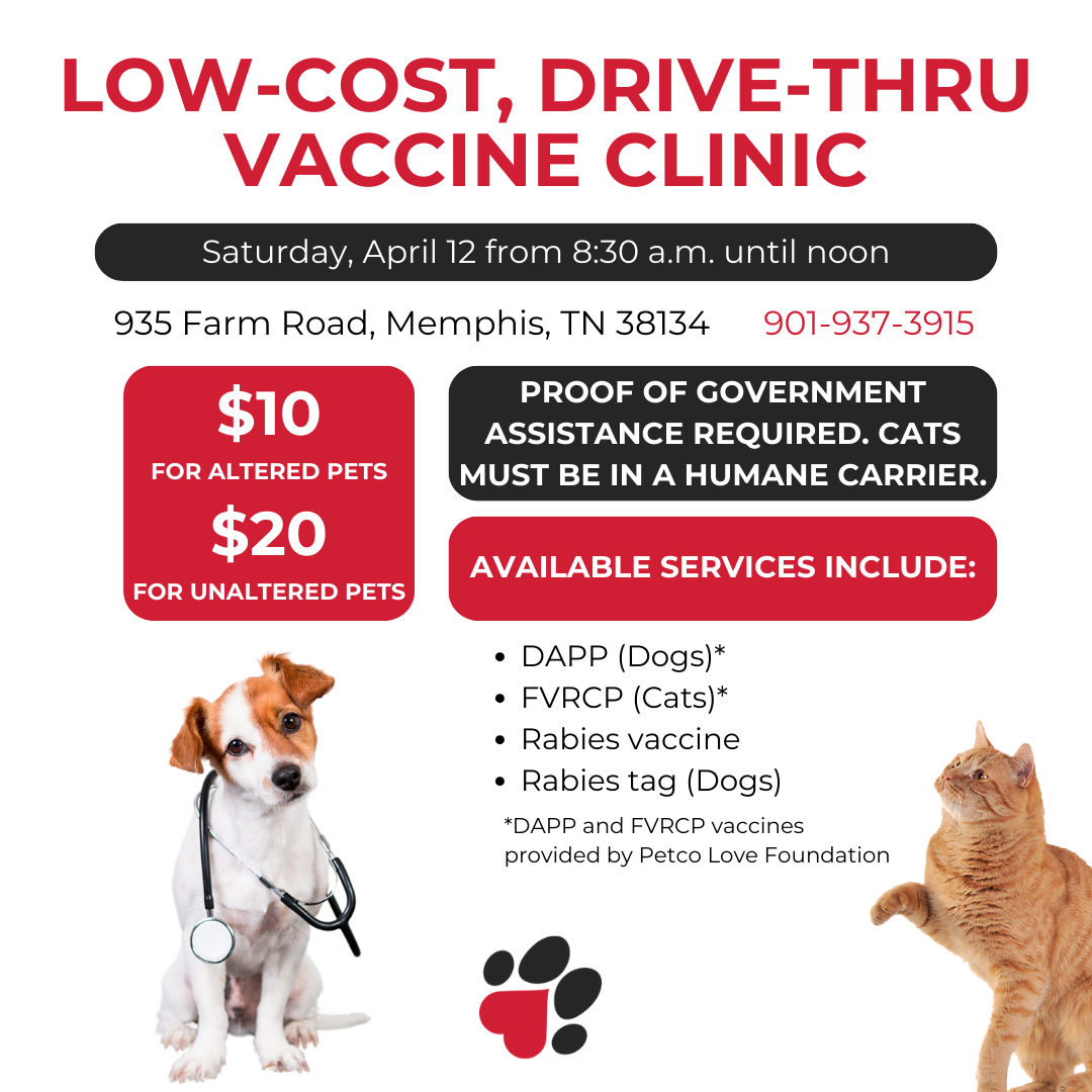 Petco Dog Vaccinations Near Me Near Me Rabies Vaccines For Dogs