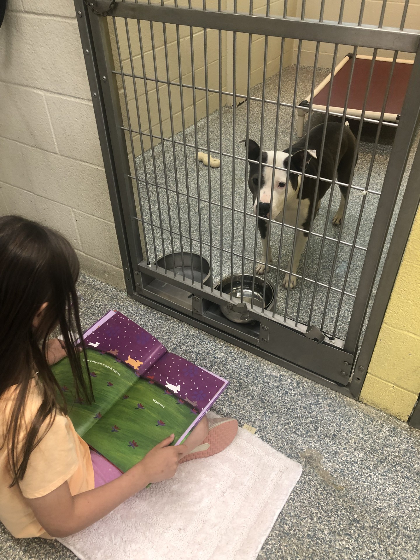 Sign a Group up for Rescue Readers! - The Humane Society of Memphis ...